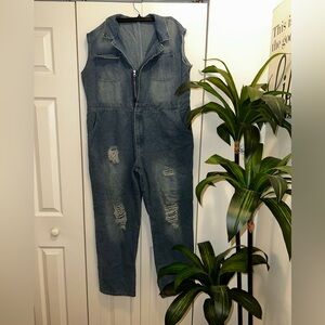Denim Sleeveless Jumpsuit